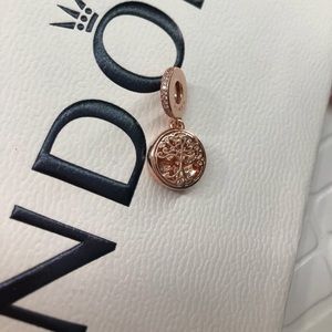 Autentic pandora family roots new never used 😊🚨